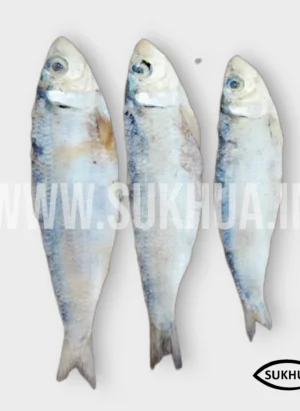 Dried Sardine Fish