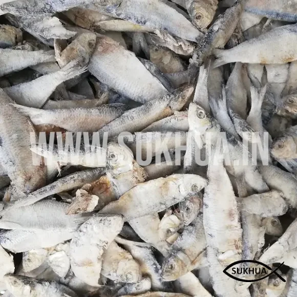 Dry Sardine Fish | Mathi Meen | Chala Karuvadu - Sun-Dried & Salted - Image 2