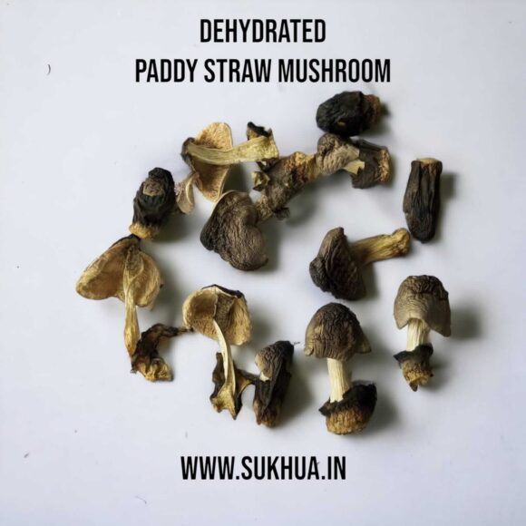 Dried Paddy Straw Mushroom (Pala Chatu) - 100g