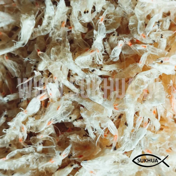 Dry Baby Shrimp Prawns (White) - Image 5