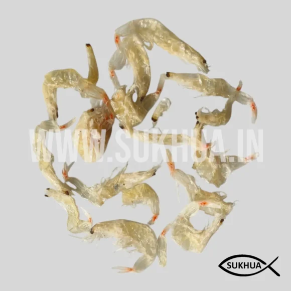 Dry Baby Shrimp Prawns (White) - Image 3